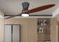 Dos hogar integrado de madera sólido de la lámpara 110V de la fan de la sala de estar del techo de la hoja